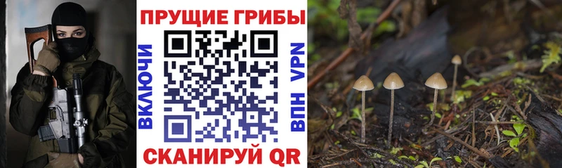 мориарти наркотические препараты  Вышний Волочёк  Псилоцибиновые грибы Magic Shrooms 